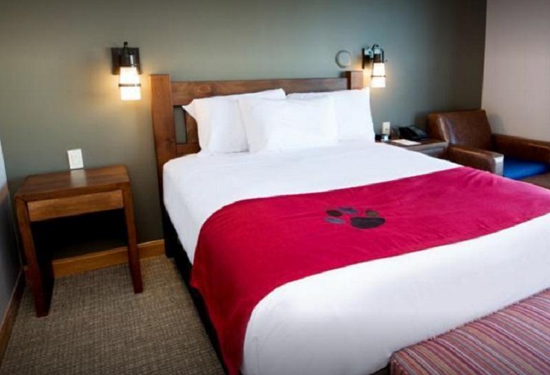 Great Wolf Lodge Bloomington Dış mekan fotoğraf