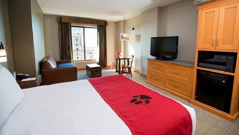 Great Wolf Lodge Bloomington Dış mekan fotoğraf